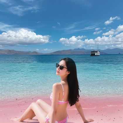 印度尼西亚巴厘岛+佩妮达岛+科莫多岛8日7晚私家团