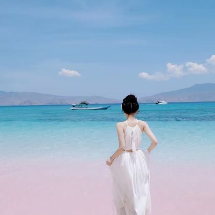 印度尼西亚泗水+巴厘岛+科莫多+雅加达+日惹19日18晚私家团