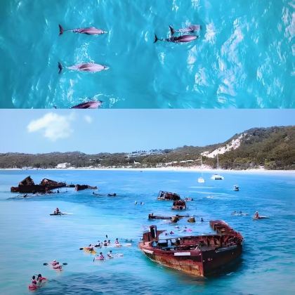 悉尼+布里斯班+黄金海岸+墨尔本12日11晚私家团