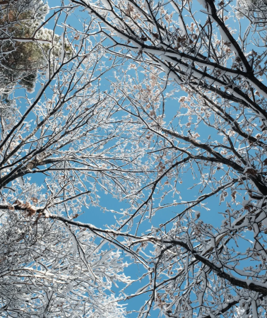 8天7晚 • 吉林市＋長白山＋雪鄉＋哈爾濱＋長春 · 享 27 年早鳥好價