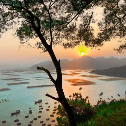 杨家溪+赤溪村展示厅+小皓海滩+留云禅寺+海尾角-露营地+下尾岛4日3晚私家团