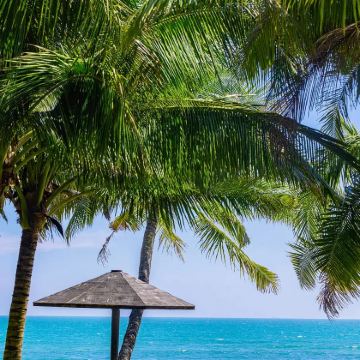 海南三亚5日4晚跟团游