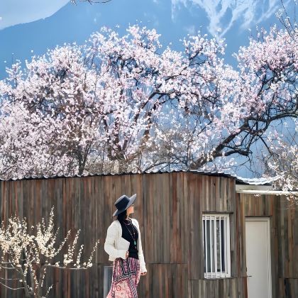 林芝+波密桃花沟+倾多寺+鲁朗林海+然乌湖+来古冰川4日3晚拼小团