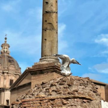 法国+意大利13日11晚自由行