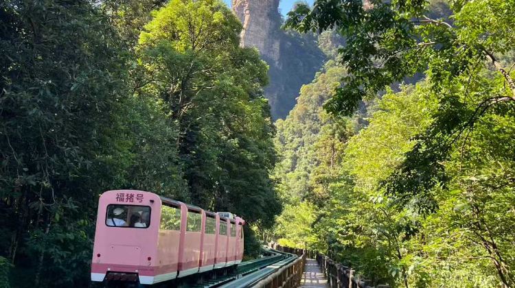 2D1N · Group Tours ·  6-Mini group tour + Zhangjiajie + Zhangjiajie National Forest Park + Yuanjiajie&Gift Bailong Sky Ladder + Yangjiajie Cableway&with 4 adults to upgrade to villa