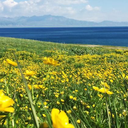 新疆北疆+伊犁+那拉提旅游风景区+赛里木湖4日3晚拼小团
