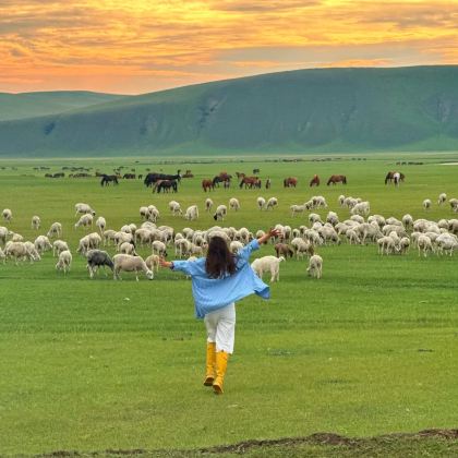 哈尔滨+齐齐哈尔+海拉尔+呼伦贝尔大草原+满洲里+额尔古纳湿地+漠河+北极村+黑河+五大连池市+伊春10日9晚跟团游