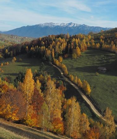 8D7N • Village life in Transylvanian Carpathian mountains - 8 days