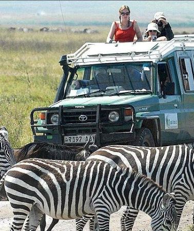 2D1N • 2 Days Joined Group Tarangire and Ngorongoro Crater National Park