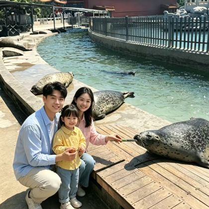 青岛+威海+烟台+蓬莱区5日4晚跟团游