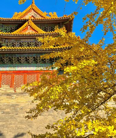 6D5N • Tiananmen Square + Beijing + Tianjin + The Palace Museum + Summer Palace + Temple of Heaven + Juyongguan Great Wall