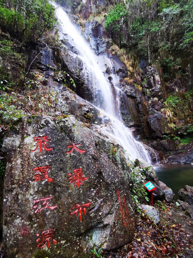 浙江乌岩岭国家级自然保护区旅行图片 4