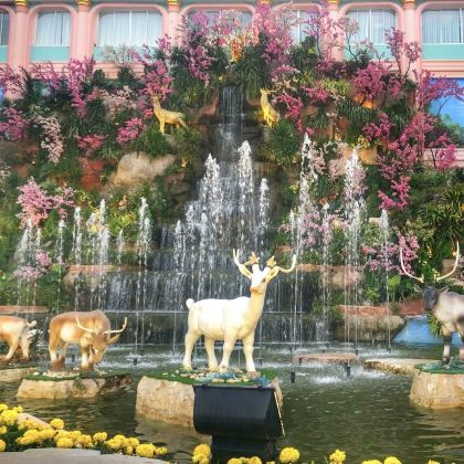 泰国象岛+曼谷6日5晚拼小团