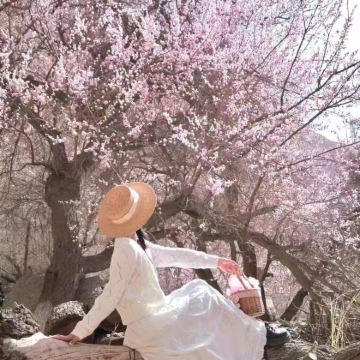 新疆伊犁8日7晚拼小团