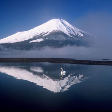 日本东京+富士山+大阪+京都6日5晚跟团游