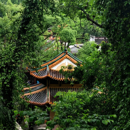 长沙+韶山+岳麓山+橘子洲景区+岳阳5日4晚私家团