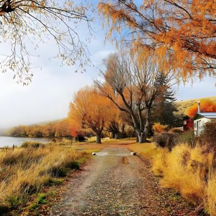 新西兰9日7晚拼小团