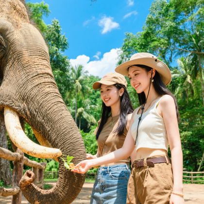 云南西双版纳6日5晚私家团