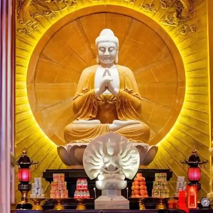 菏泽+水浒好汉城+大佛寺+郓城县衙+金山旅游区+巨野文庙+法源寺+老城曹州5日4晚私家团