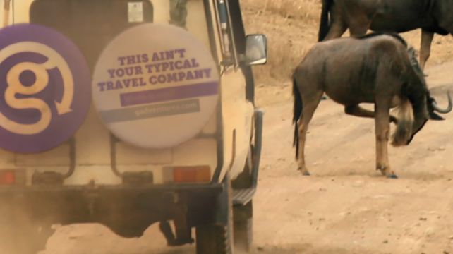 9-Day Kenya Camping Safari from Nairobi·Samburu National Reserve | Lake Nakuru National Park | Masai Mara