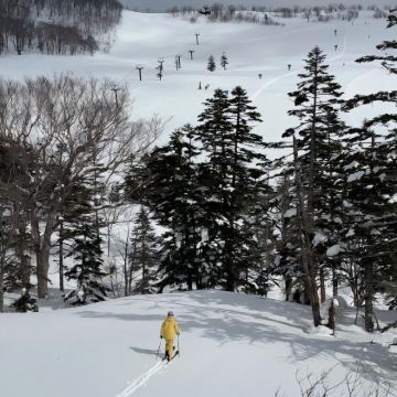 日本东京+白马村滑雪度假区5日4晚自由行