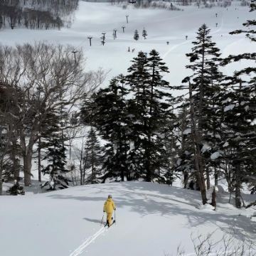 日本东京+白马村滑雪度假区5日4晚自由行
