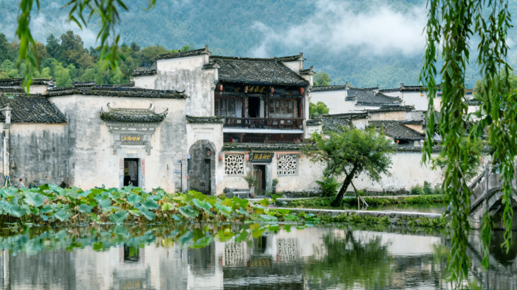 Huangshan Scenic Area + Hongcun Village + Xidi + Wuyuan Huangling
