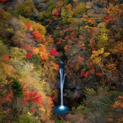 美国圣安东尼奥5日4晚私家团