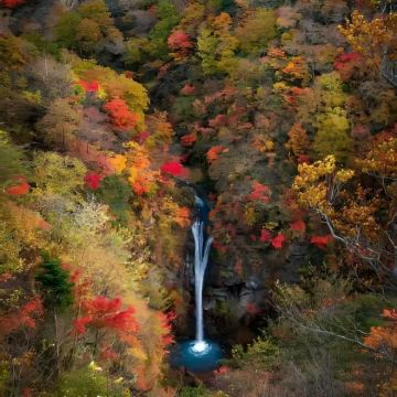 美国圣安东尼奥5日4晚私家团