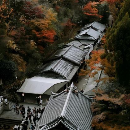 日本大阪+京都+奈良5日4晚拼小团