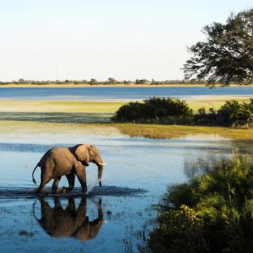 纳米比亚+津巴布韦+博茨瓦纳14日12晚私家团