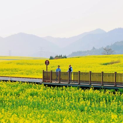 昆明+罗平+普者黑景区+弥勒+碧色寨风景区+元阳+建水+抚仙湖+东川红土地+广南9日8晚私家团