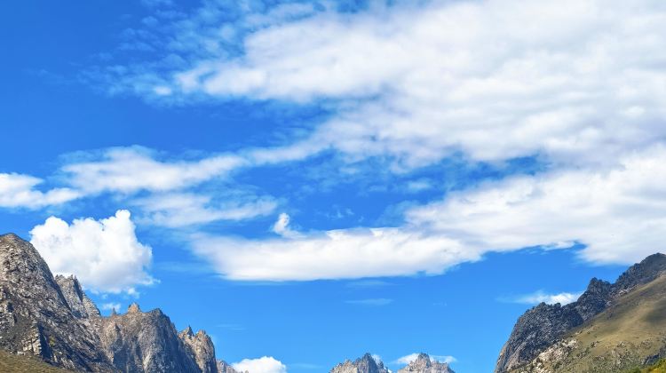 8D7N · Private Tours · Western Xia Ancient Capital · Yellow River Golden City · Highland Summer Capital — In-depth Journey through Three Cities of Ningxia, Gansu, and Qinghai