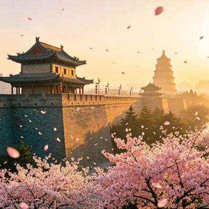 西安+兵马俑+华山4日3晚跟团游