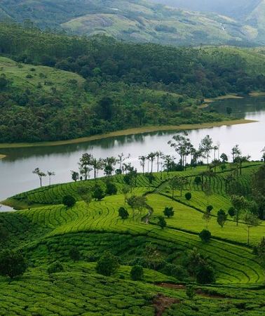 5D4N • 5 Days Luxury Kerala Tour with Houseboat Experience