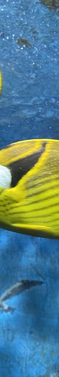 合肥海洋世界-合肥