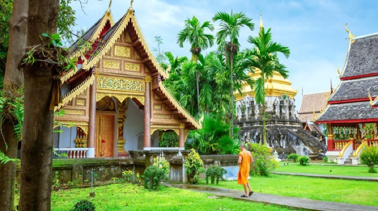 泰國清邁+清萊7日6晚·深度雙清+無購物店丨5晚清邁特色酒店+1晚清萊特色酒店丨白廟+藍廟+寧曼路+塔佩門+火車暢遊南奔+環遊蘭納古城+雙龍寺+泰拳表演