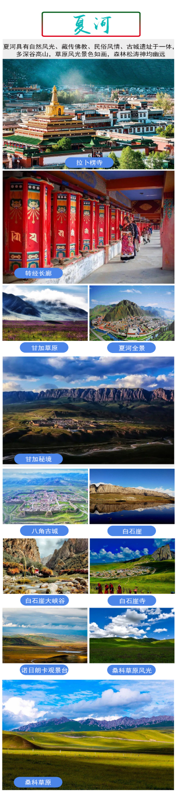 湿地 宁玛寺 莲宝叶则景区 黄河九曲第一湾 红原—若尔盖大草原8日7晚