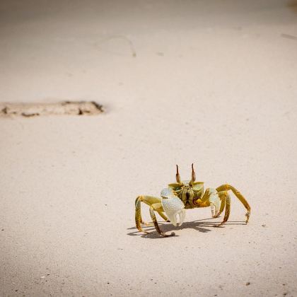 马来西亚槟城+吉隆坡+仙本那10日9晚拼小团