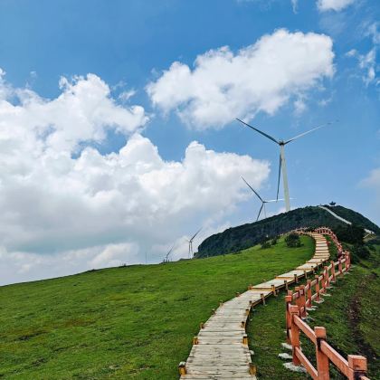 曲靖+尼珠河大峡谷+乌蒙大草原2日1晚私家团