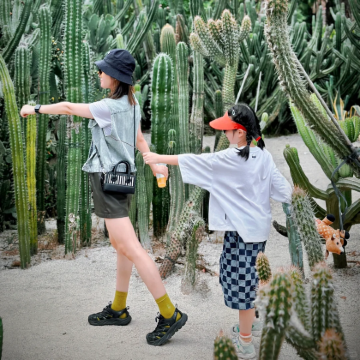 厦门+鼓浪屿+福建土楼+泉州6日5晚私家团