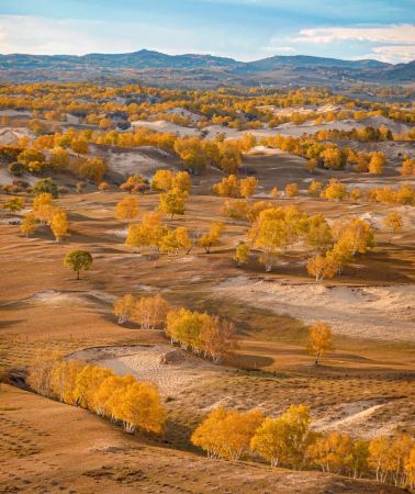 5D4N • Qinhuangdao + Chengde + Ulan Butung Grasslands + Mulan Paddock