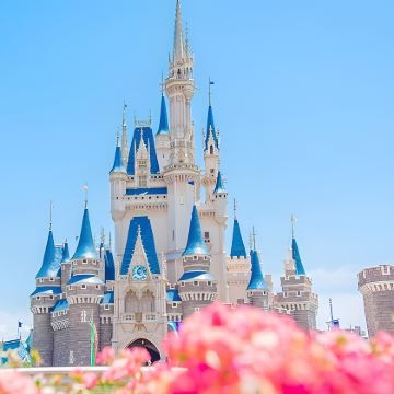 日本迪士尼（Disney）+箱根+东京6日5晚私家团