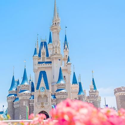 日本迪士尼（Disney）+箱根+东京6日5晚私家团