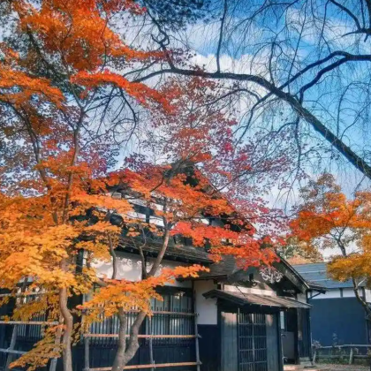 日本仙台+山形+秋田+青森8日7晚私家团