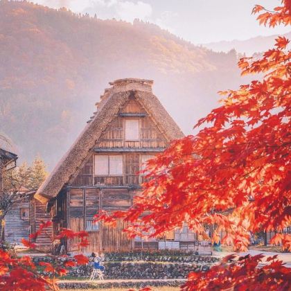 日本大阪+京都+奈良+富士山+东京7日6晚跟团游