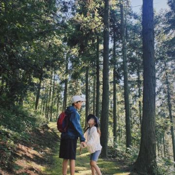 天门山+张家界大峡谷景区(玻璃桥)+张家界国家森林公园3日自由行