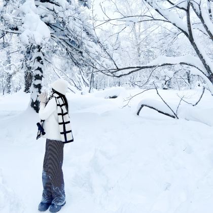 哈尔滨+中国雪乡+雪乡狗熊岭景区+亚布力滑雪旅游度假区3日2晚拼小团