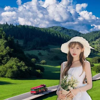 重庆+武隆区+大足石刻6日5晚拼小团