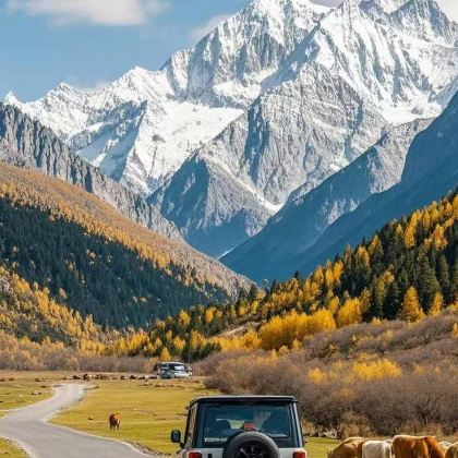 成都+川藏公路+稻城亚丁+林芝+波密+拉萨11日10晚拼小团